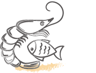 Seafood